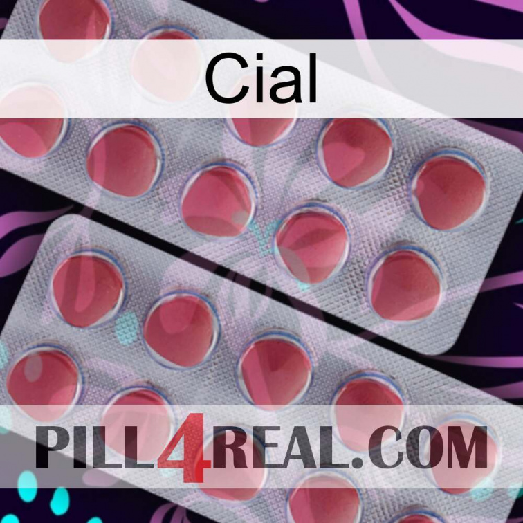 Cial 19